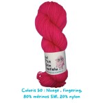 Nuage fingering: Coloris 50 : Élodie organise un souper et oublie d’inviter tout le monde.