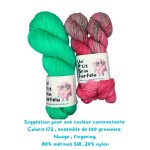 Ensemble de 100 grammes, Nuage fingering: Coloris 172.