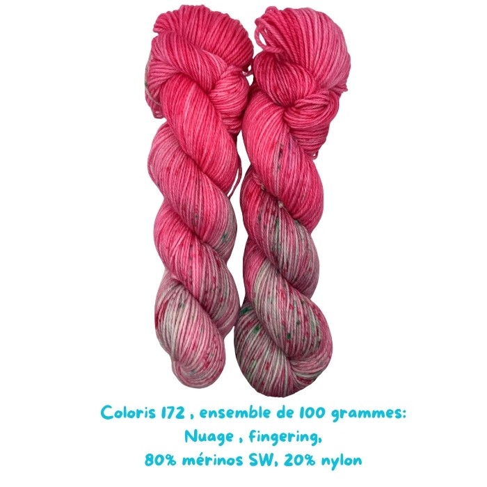 Coloris 172 : Gisèle et les aventures aux champs de fleurs.
