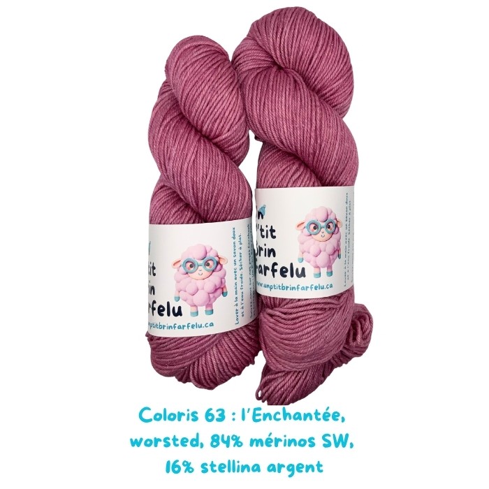 L'Enchantée worsted argent: Coloris 63, Kelly part en randonnée et adopte un lama.