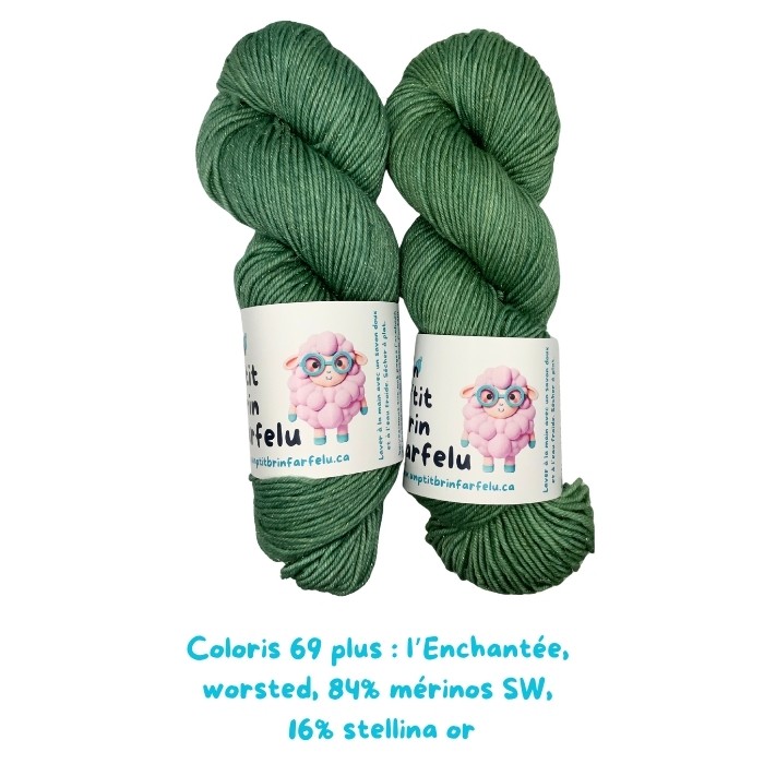 L'Enchantée Worsted OR: Coloris 69 plus, Tom cherche le trésor caché.