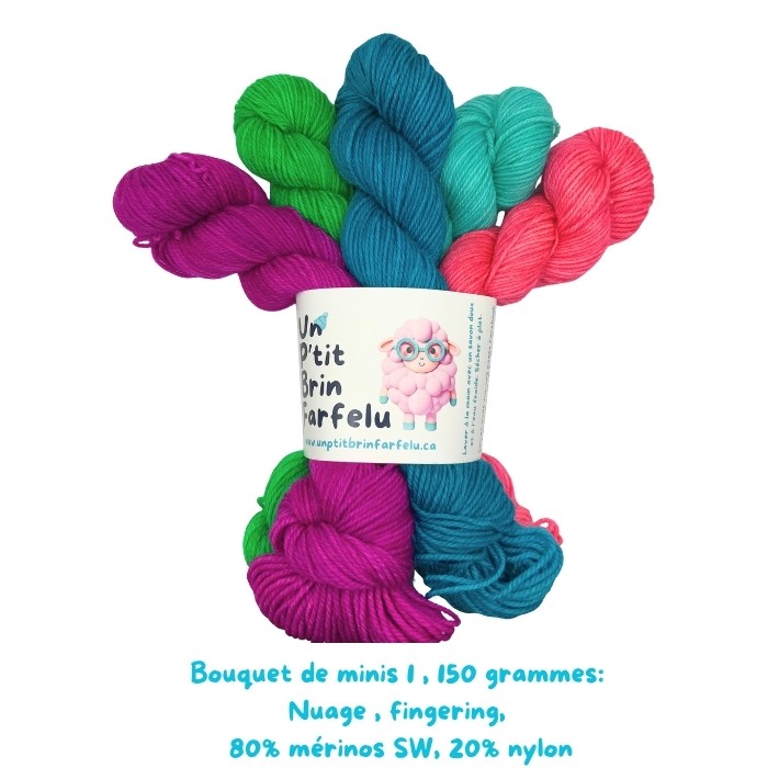 Bouquet de minis 150 grammes, coloris : 65, 81, 106, 126, 129 Base Nuage!