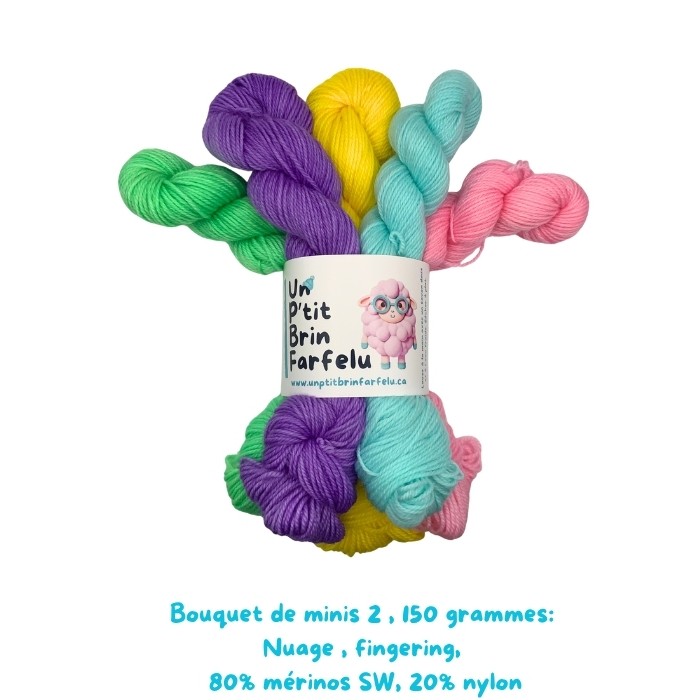 Bouquet de minis 150 grammes, coloris : 36, 66, 81, 90, 96, 142 Base Nuage!