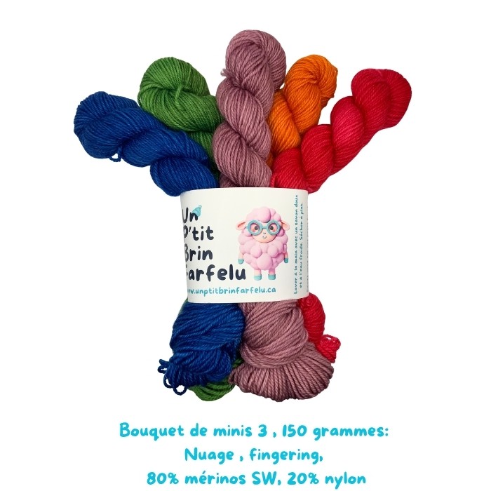 Bouquet de minis 150 grammes, coloris : 25, 46, 84, 99, 115 , Base Nuage!
