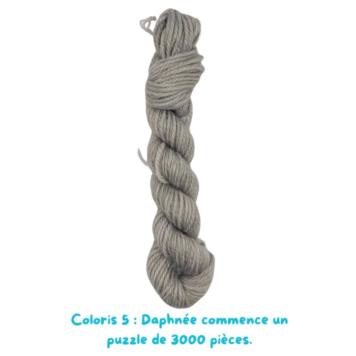 Coloris 5 : Daphnée commence un puzzle de 3000 pièces.