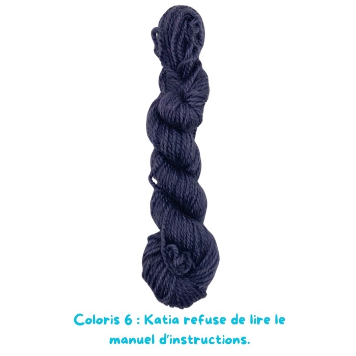 Coloris 6 : Katia refuse de lire le manuel d’instructions.