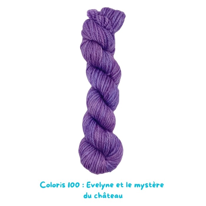 Coloris 100 : Evelyne et le mystère  du château