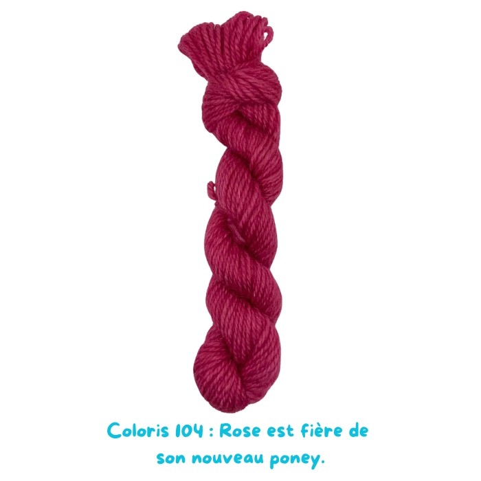 Coloris 104 : Rose est fière de son nouveau poney.