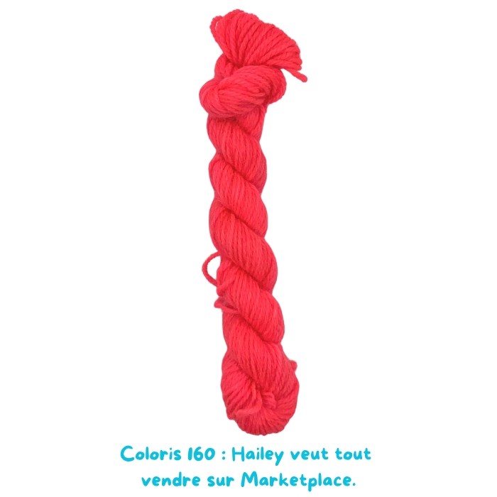 Coloris 160 : Hailey veut tout  vendre sur Marketplace.