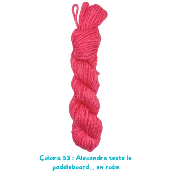 Coloris 53 : Alexandra teste le  paddleboard… en robe.