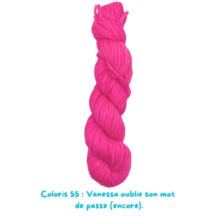 Coloris 55 : Vanessa oublie son mot  de passe (encore).