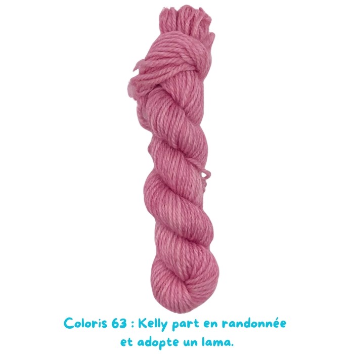 Coloris 63 : Kelly part en randonnée  et adopte un lama.