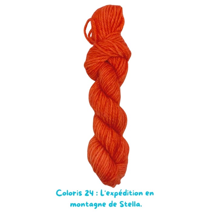 Coloris 24 : L'expédition en  montagne de Stella.