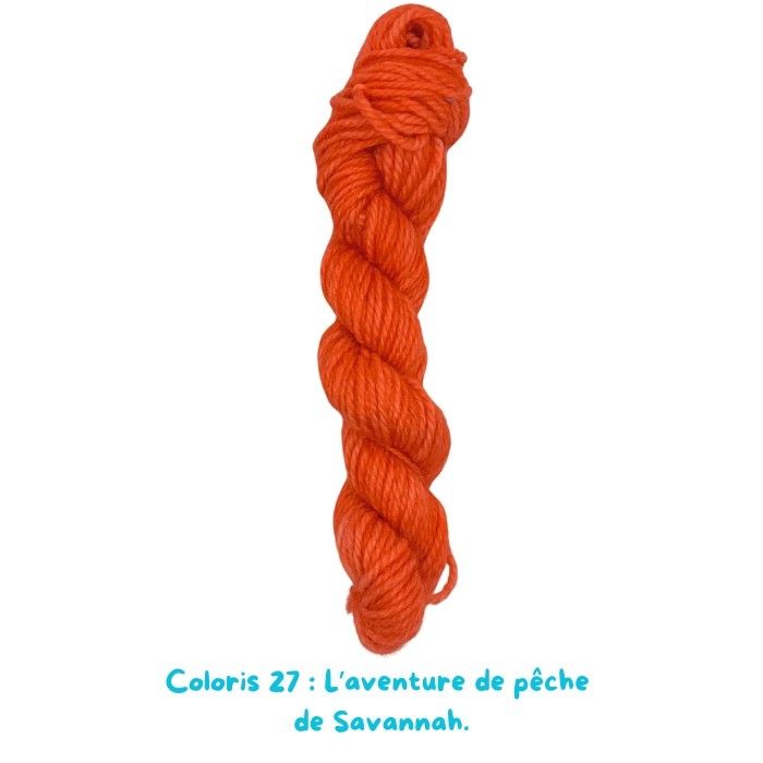 Coloris 27 : L’aventure de pêche  de Savannah.