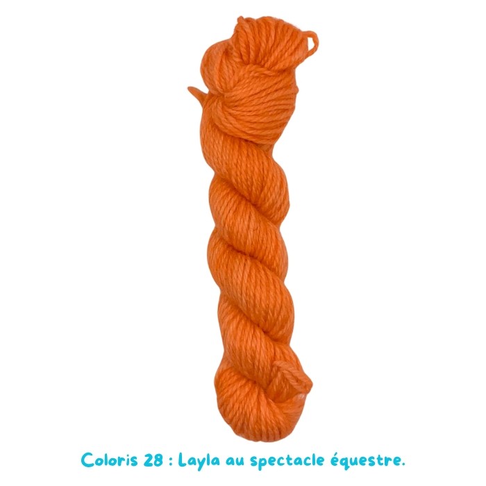 Coloris 28 : Layla au spectacle équestre.