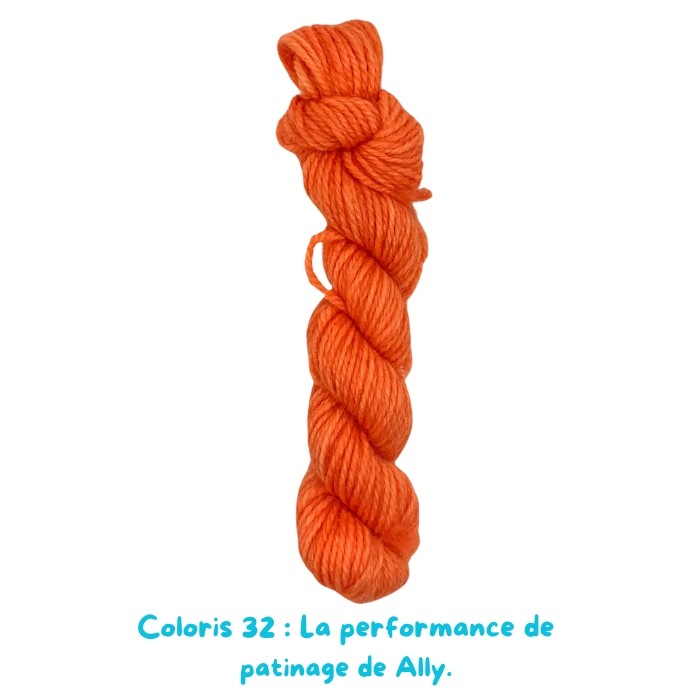 Coloris 32 : La performance de  patinage de Ally.