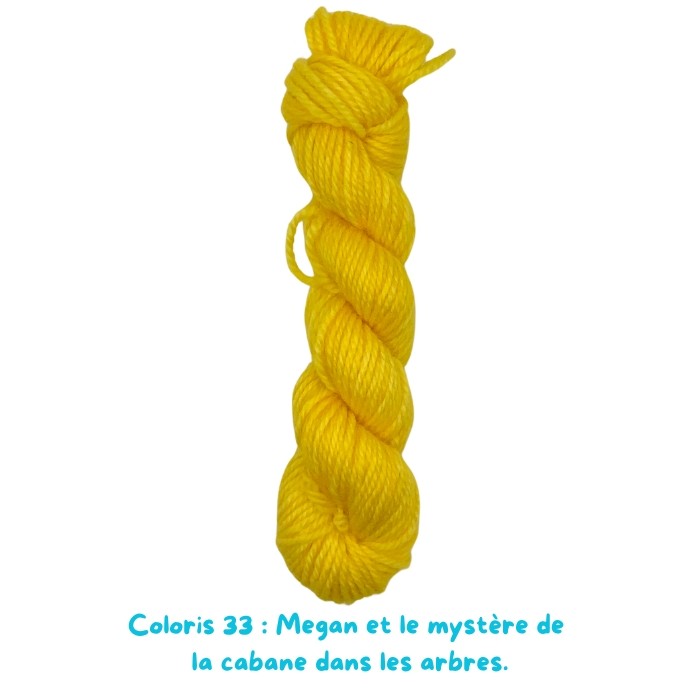 Coloris 33 : Megan et le mystère de  la cabane dans les arbres.