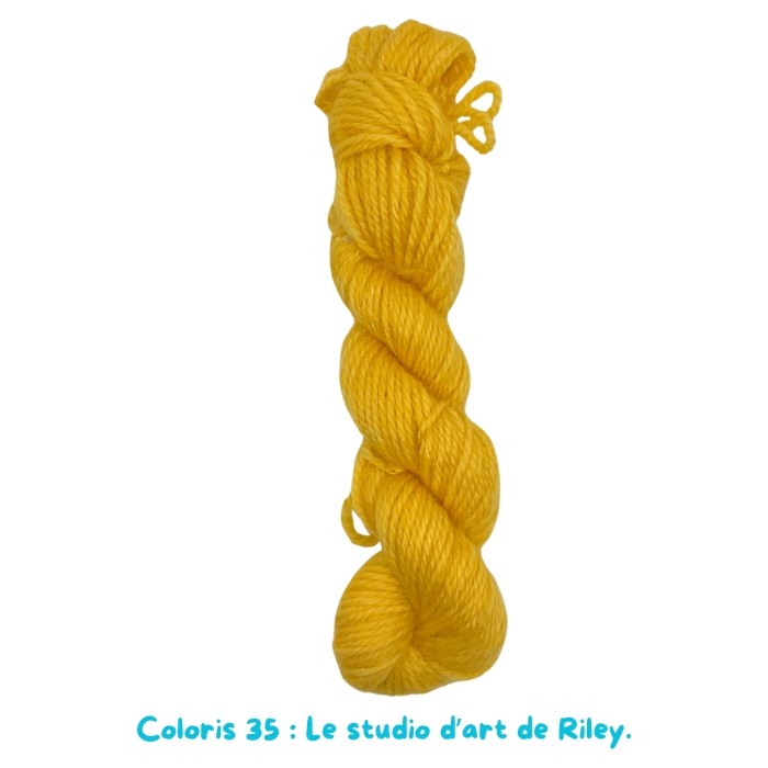 Coloris 35 : Le studio d’art de Riley.