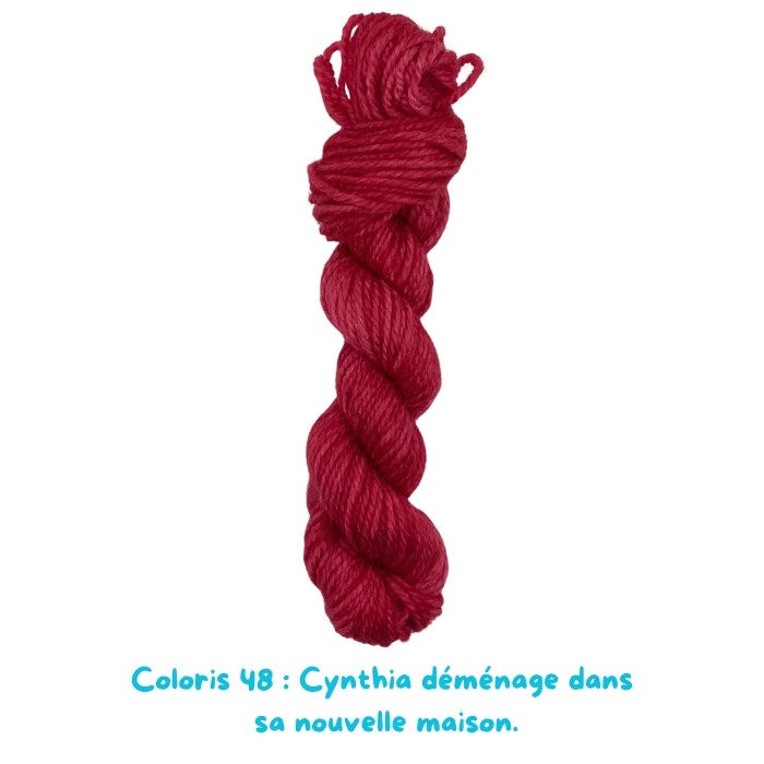 Coloris 48 : Cynthia déménage dans  sa nouvelle maison.