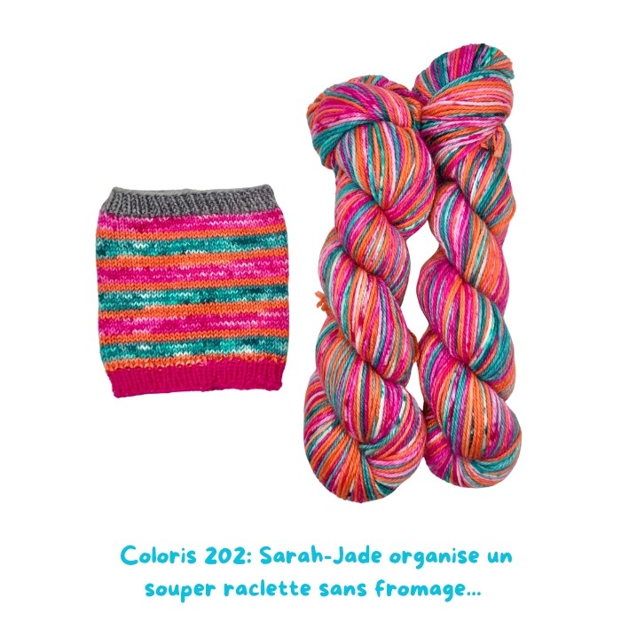 Coloris 202: Sarah-Jade organise un  souper raclette sans fromage...