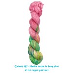 Coloris 157 : Noélie teste le feng shui  et se cogne partout.