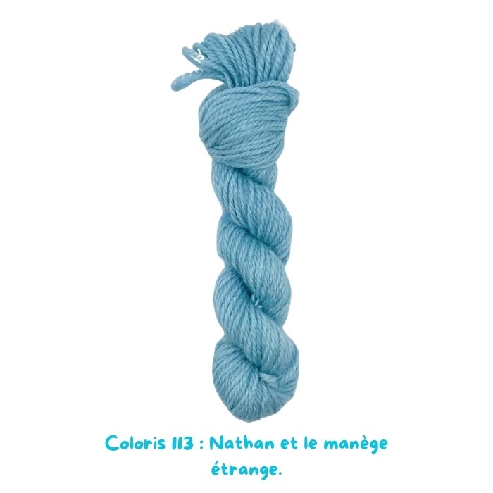 Coloris 113 : Nathan et le manège étrange.