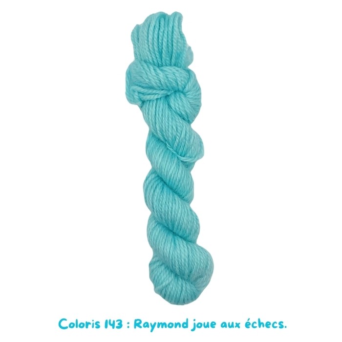 Coloris 143 : Raymond joue aux échecs.