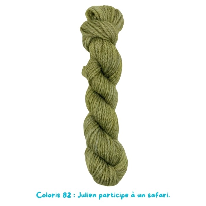 Coloris 82 : Julien participe à un safari. 