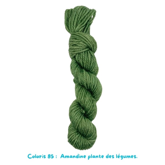 Coloris 85 : Amandine plante des légumes. 