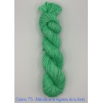 Coloris 75 : Mélodie et le mystère de la forêt. 