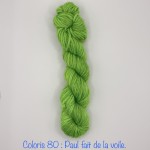 Coloris 80 : Paul fait de la voile.