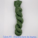 Coloris 85 : Amandine plante des légumes. 