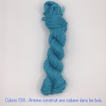 Coloris 138 : Antoine construit une cabane dans les bois. 