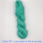 Coloris 135 : Louise prépare la fête de son amie.