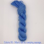 Coloris 116 : Mario fait du camping sauvage. 